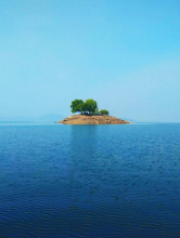 Visuel L'Ile des jamais trop tard