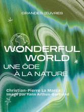WONDERFUL WORLD - La Seine Musicale