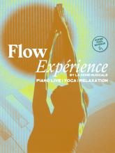 Flow Expérience - La Seine Musicale