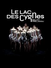 LE LAC DE CYGNES La Seine Musicale